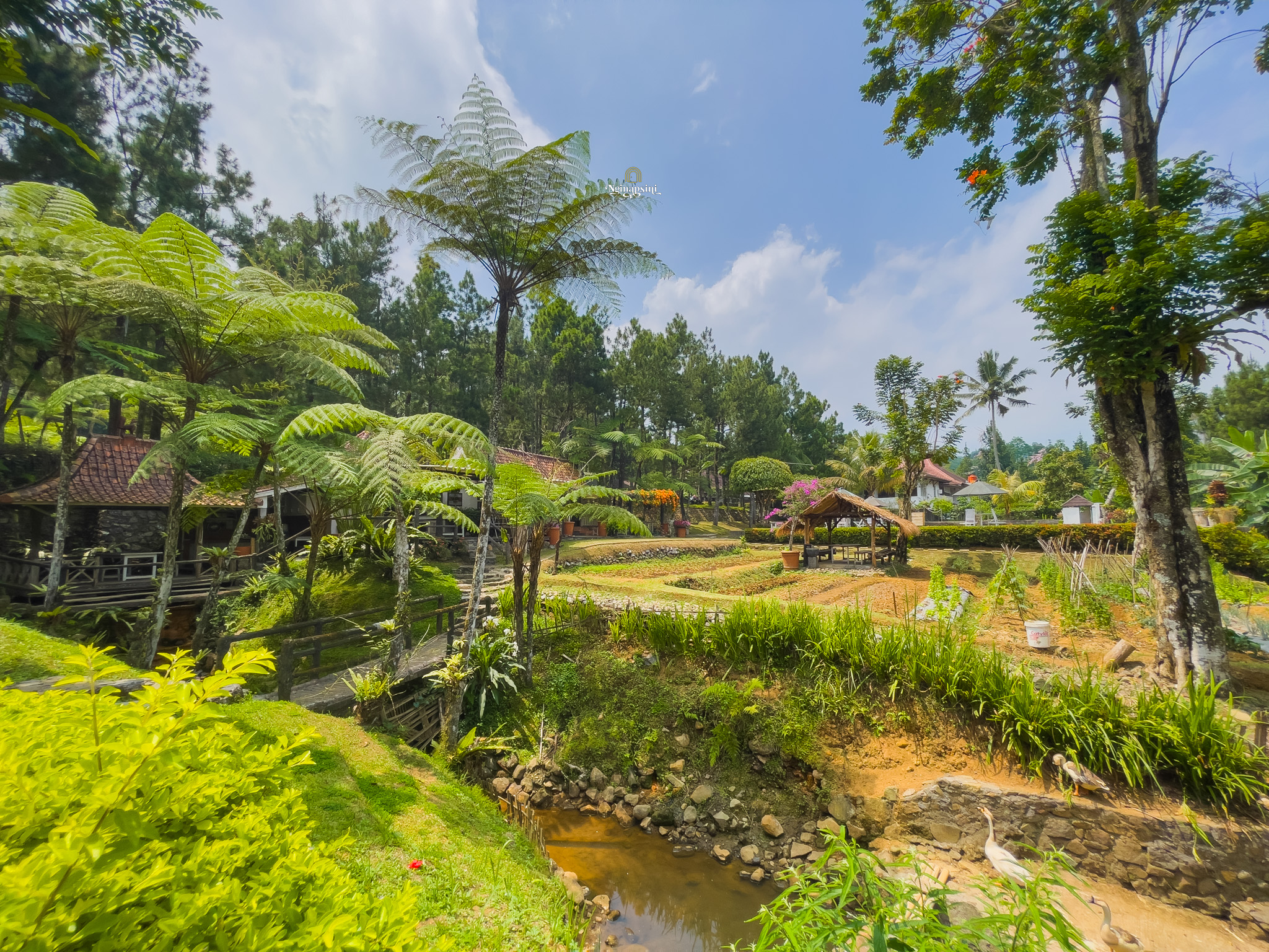 Bedanya Villa, Cabin, dan Resort? Kenali Sebelum Booking!